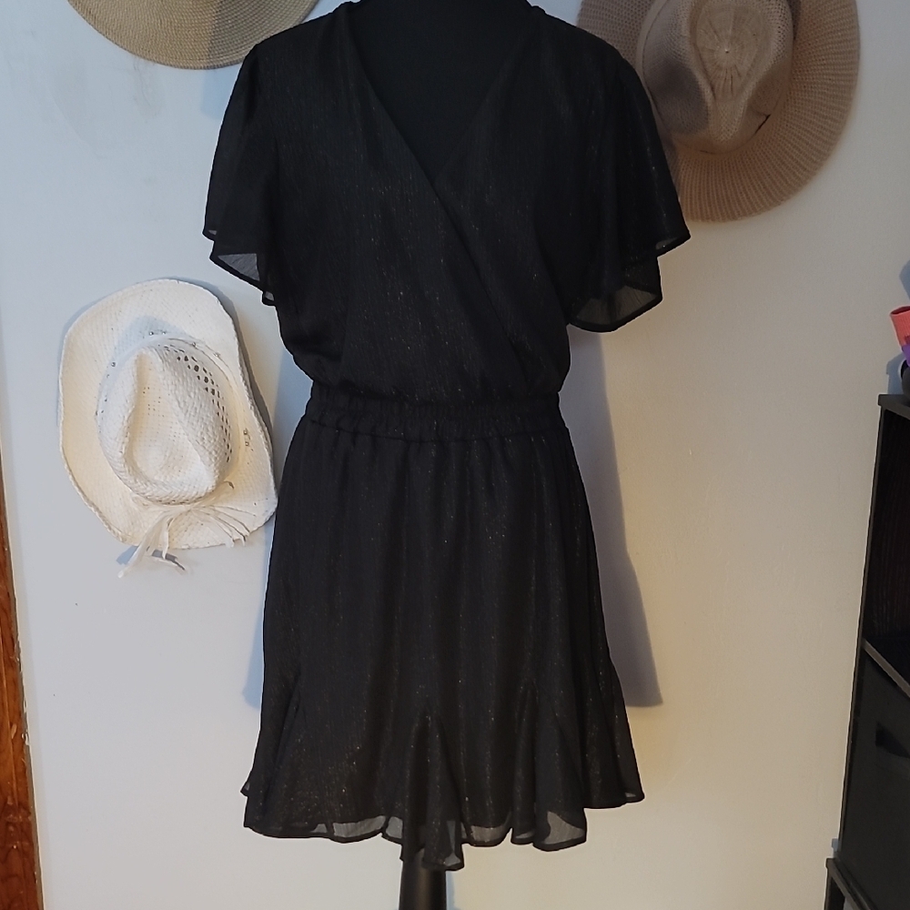 Mi ami Elegant Black Chiffon  Mini Dress